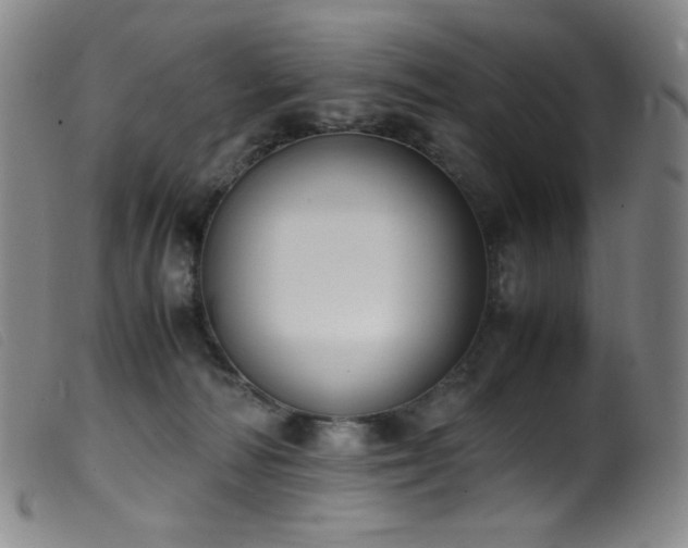 X0000099550226200805161500