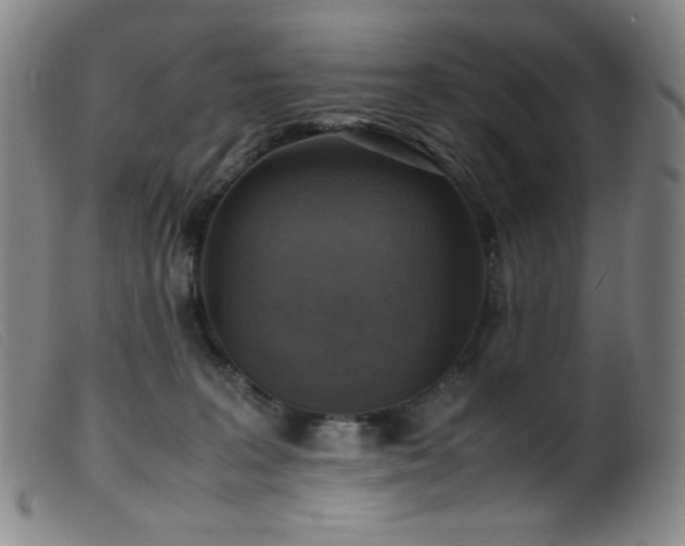 X0000099550227200805161500
