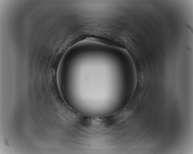 X0000099550229200805161500