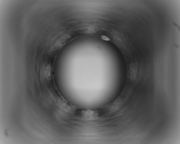 X0000099550230200805161500
