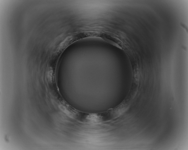 X0000099550231200805161500