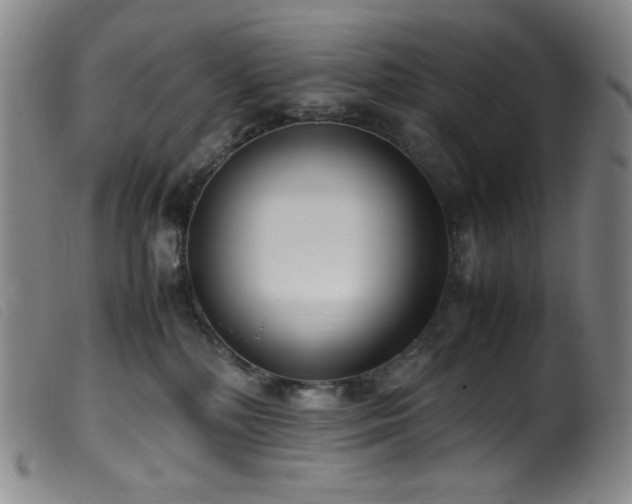 X0000099550232200805161500