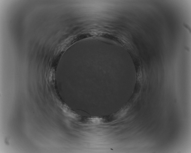 X0000099550233200805161500