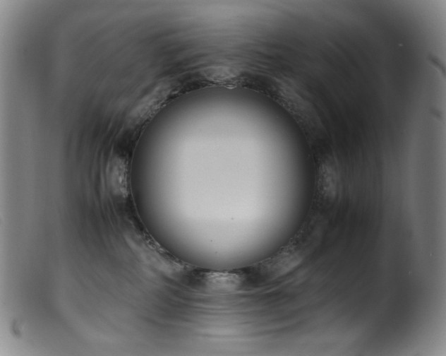 X0000099550234200805161500