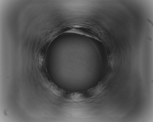 X0000099550235200805161500