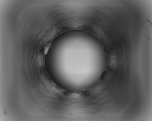 X0000099550236200805161500