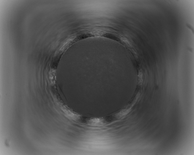 X0000099550237200805161500