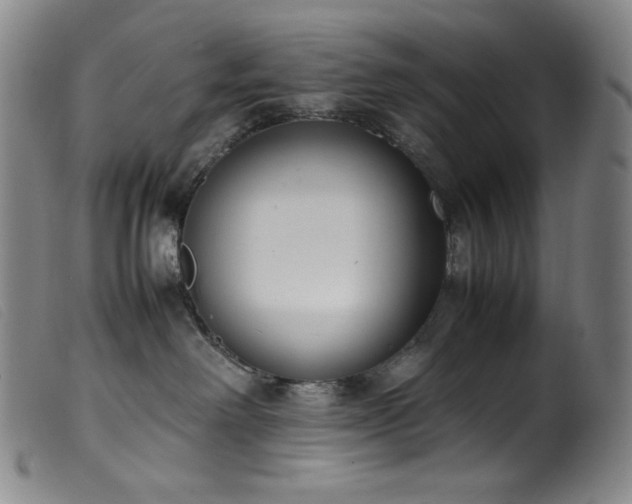 X0000099550238200805161500