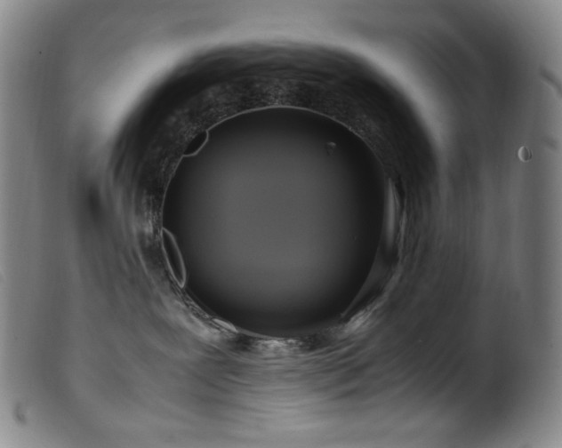 X0000099550239200805161500