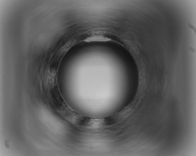 X0000099550240200805161500