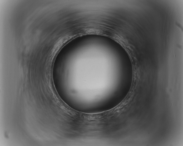 X0000099550241200805161459