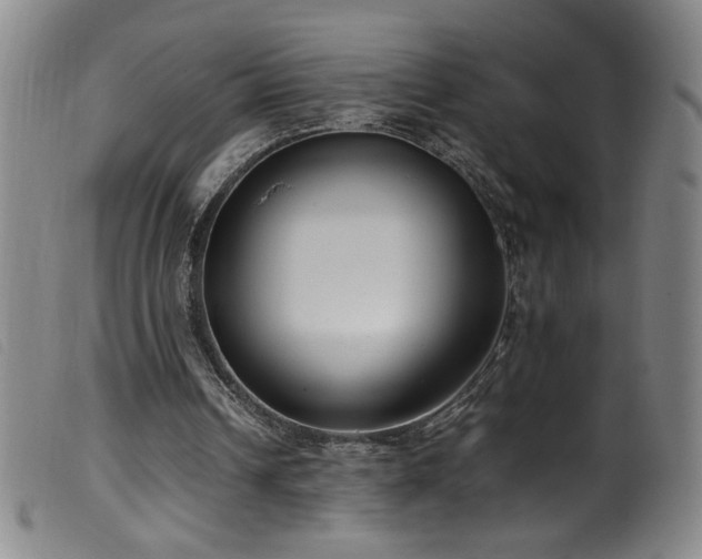 X0000099550242200805161459