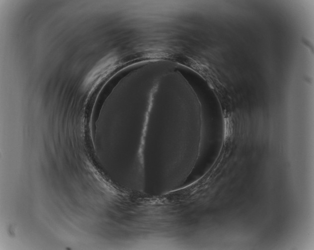 X0000099550243200805161459