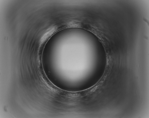 X0000099550245200805161459