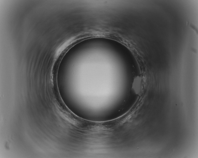 X0000099550246200805161459