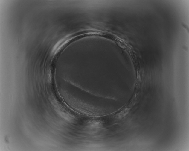 X0000099550247200805161459
