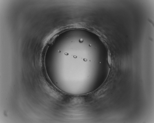 X0000099550248200805161459