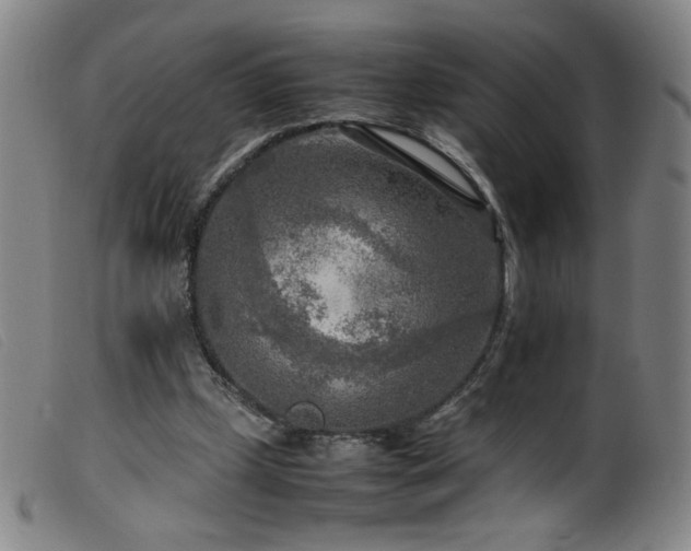 X0000099550249200805161459