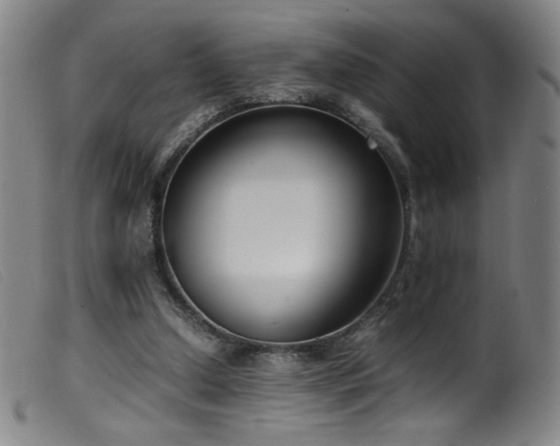 X0000099550250200805161459