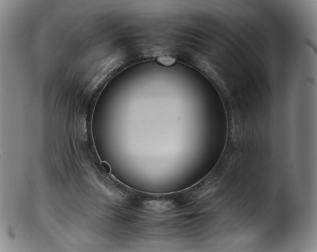 X0000099550251200805161459