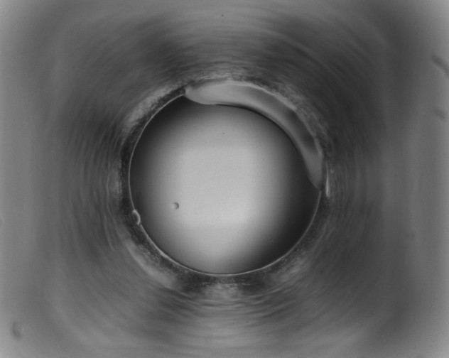 X0000099550252200805161459