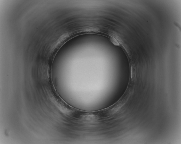 X0000099550253200805161459