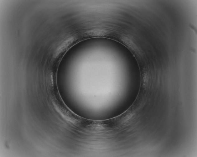 X0000099550254200805161459