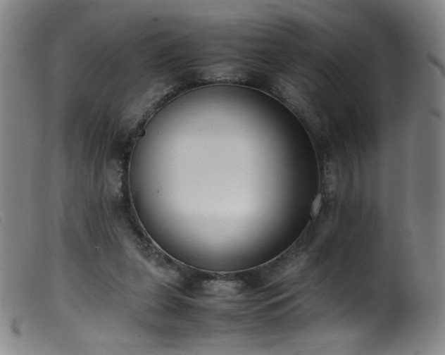 X0000099550255200805161459