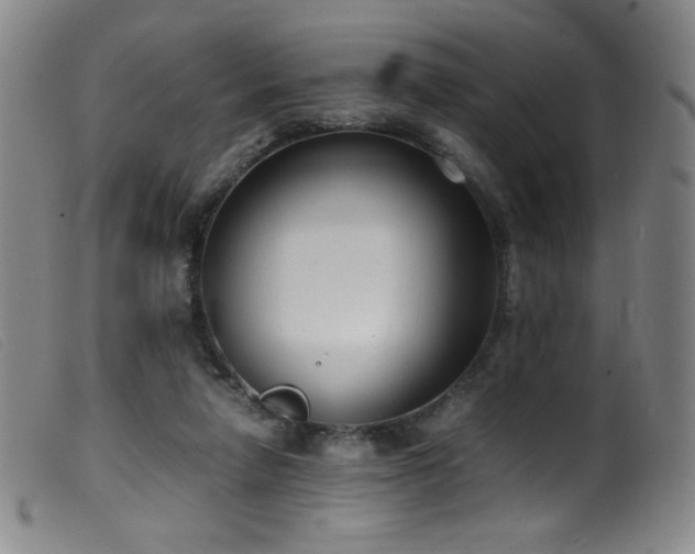 X0000099550258200805161459