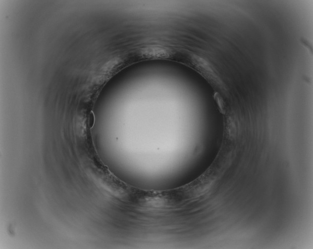 X0000099550259200805161459