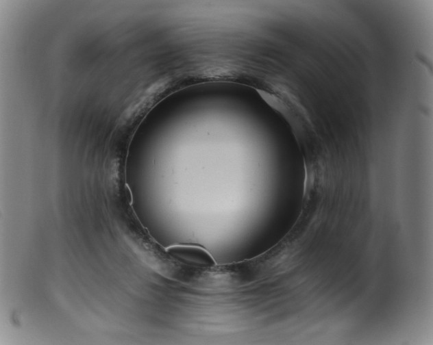 X0000099550260200805161459