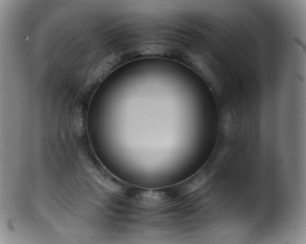 X0000099550261200805161459