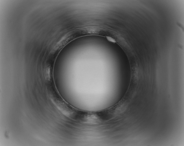 X0000099550262200805161459
