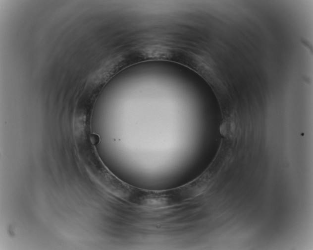 X0000099550263200805161459