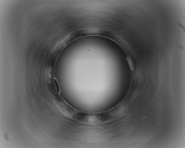 X0000099550264200805161459
