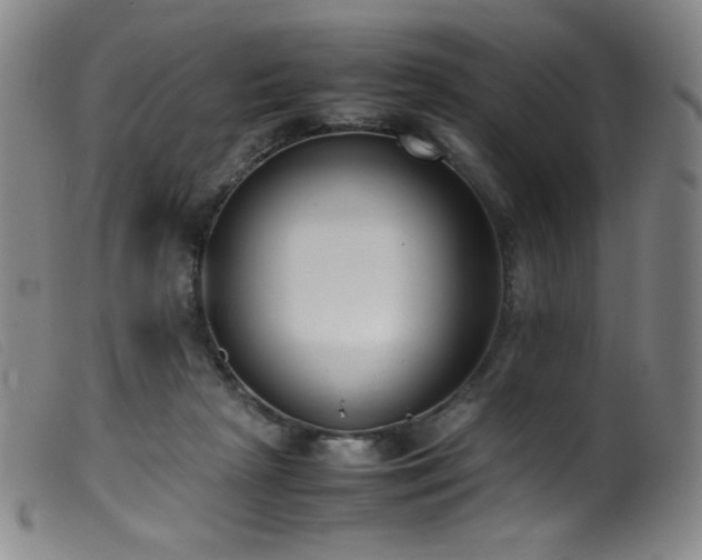 X0000099550265200805161459