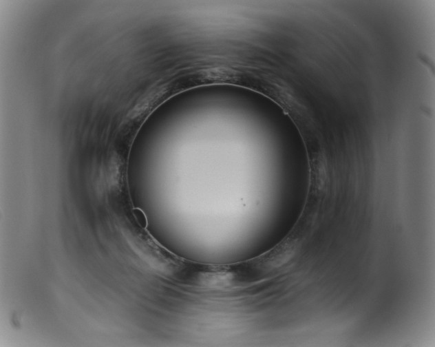 X0000099550266200805161459