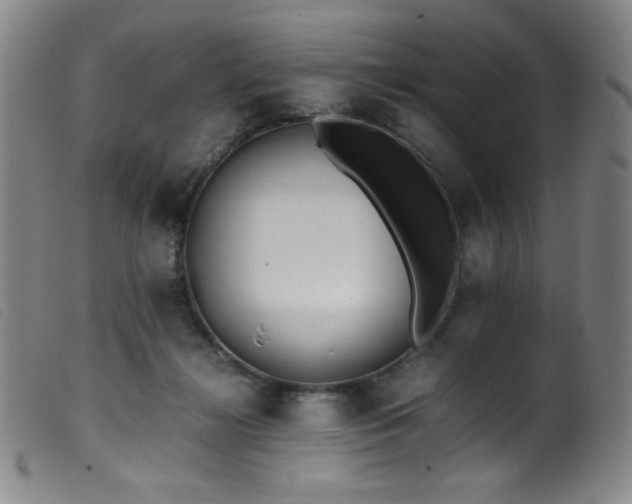 X0000099550268200805161459