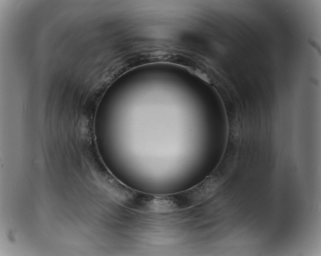 X0000099550270200805161459
