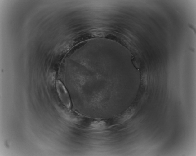 X0000099550271200805161459