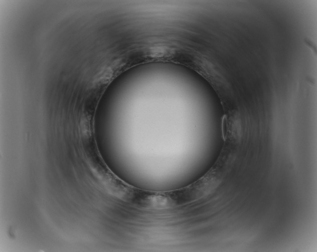 X0000099550272200805161459