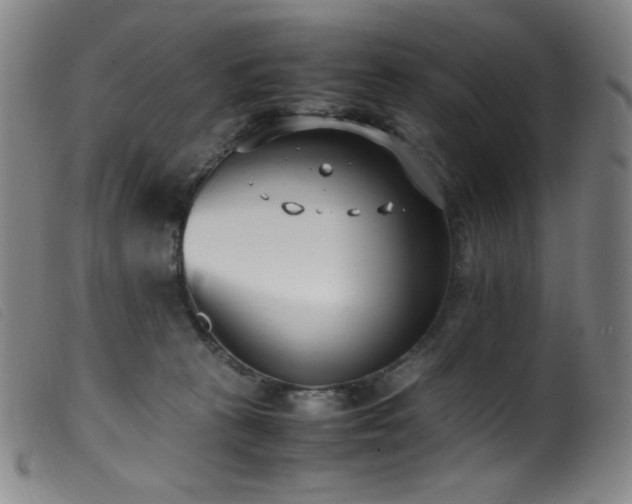 X0000099550273200805161459
