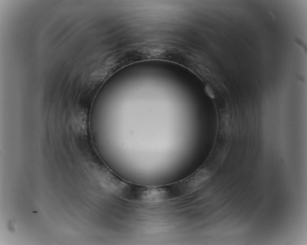 X0000099550274200805161459
