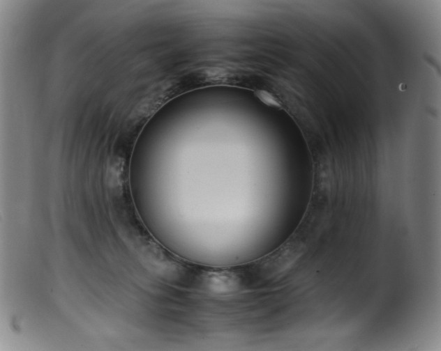 X0000099550275200805161459