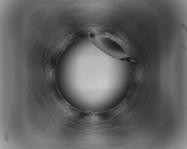 X0000099550276200805161459