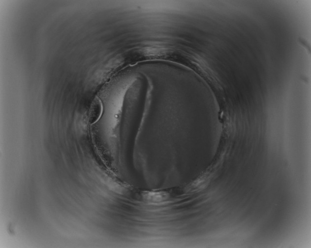 X0000099550277200805161459