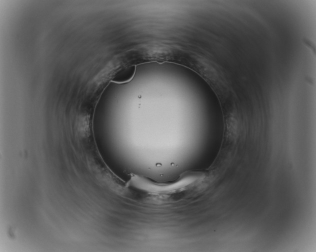 X0000099550278200805161459