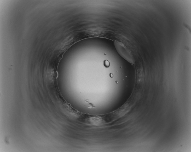 X0000099550279200805161459