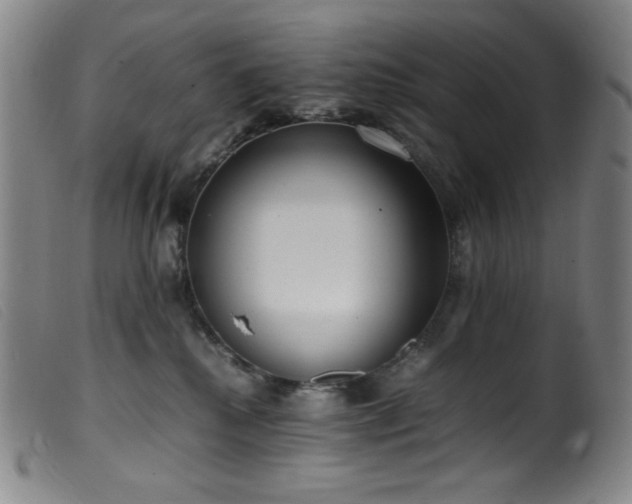 X0000099550280200805161459