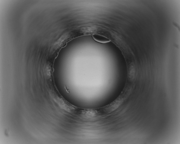 X0000099550282200805161500